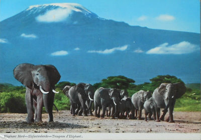 Cartes · Cartes postales Afrique