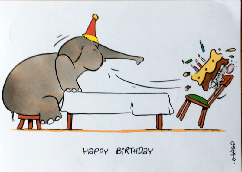 Cartes · 14 cartes hollandaises " Happy Birthday"
