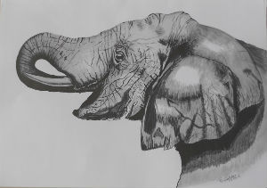 Peintures · Peintures SUR Tole