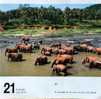 Calendriers · Pages DE Calendriers Muraux