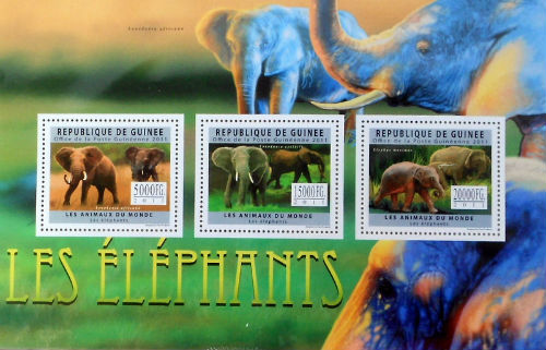 Timbres · Guinee