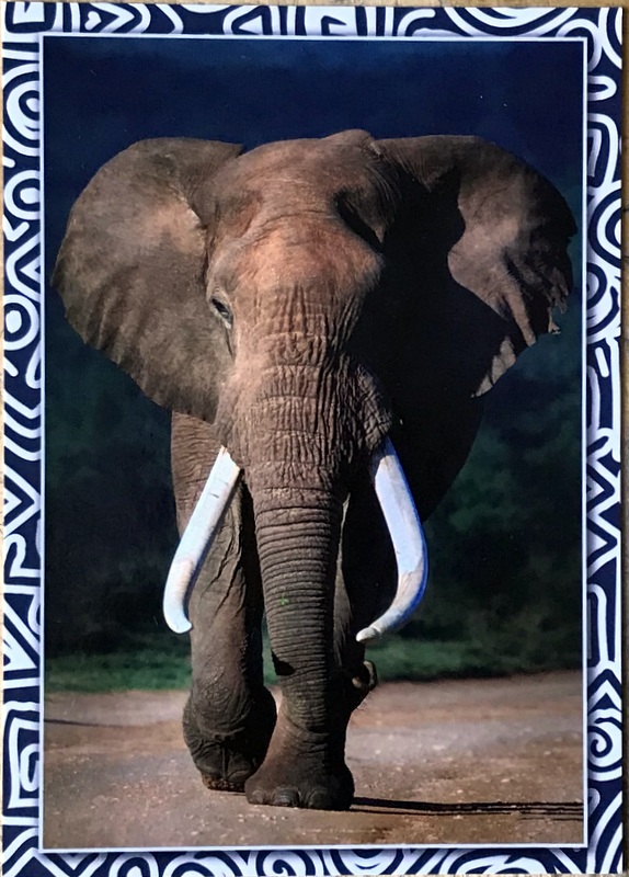 Cartes · Cartes postales Afrique