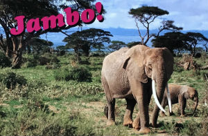 Cartes · Cartes postales Afrique