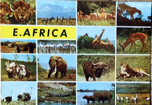 Cartes · Cartes postales Afrique