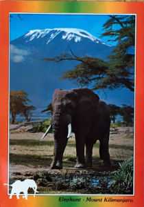Cartes · Cartes postales Afrique