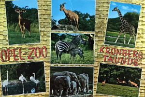 Cartes · Cartes postales Afrique
