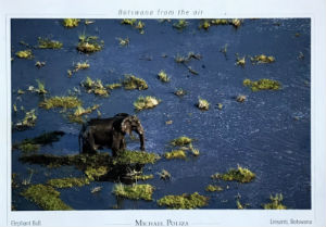 Cartes · Cartes postales Afrique