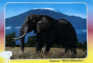 Cartes · Cartes postales Afrique