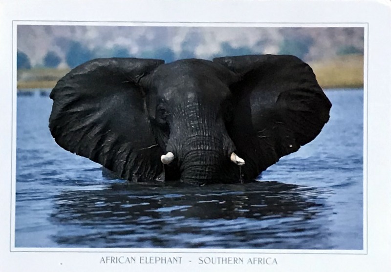 Cartes · Cartes postales Afrique