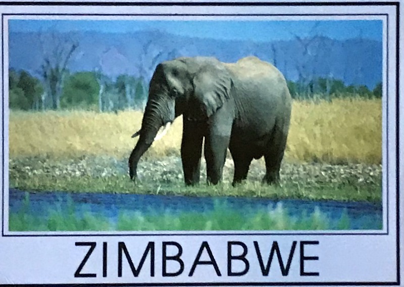 Cartes · Cartes postales Afrique