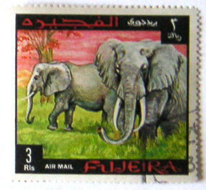 Timbres · Fujeira