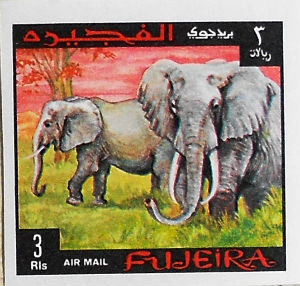 Timbres · Fujeira