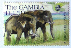 Timbres · Gambie