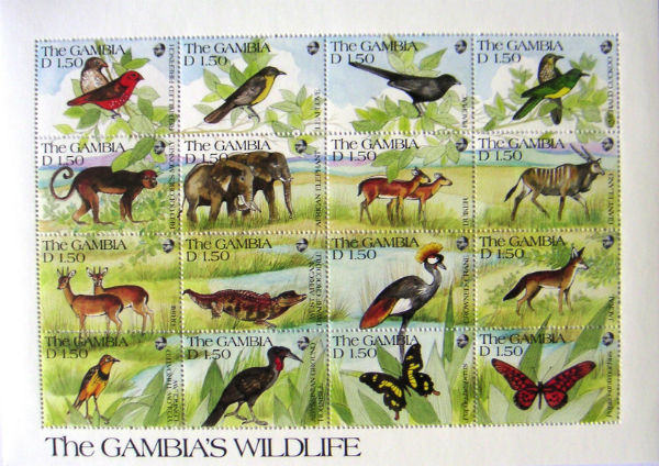 Timbres · Gambie