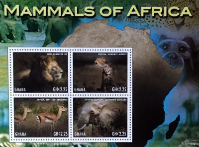 Timbres
