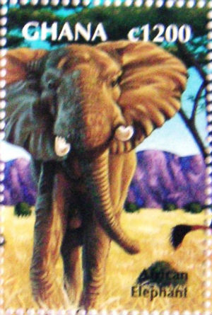 Timbres · Ghana