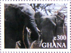 Timbres · Ghana