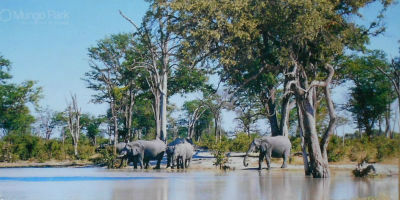 Cartes · Cartes postales Afrique