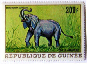Timbres · Guinee