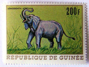 Timbres · Guinee