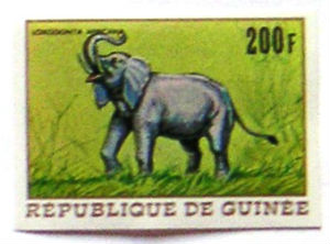Timbres · Guinee