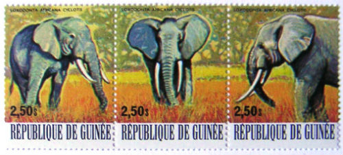 Timbres · Guinee