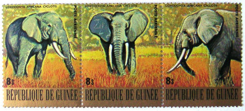 Timbres · Guinee