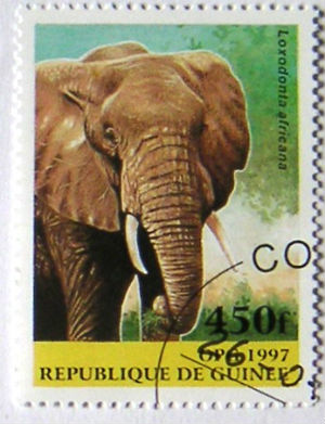 Timbres · Guinee