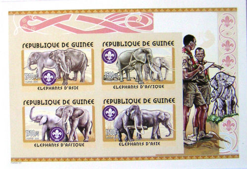 Timbres · Guinee
