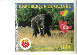 Timbres · Guinee