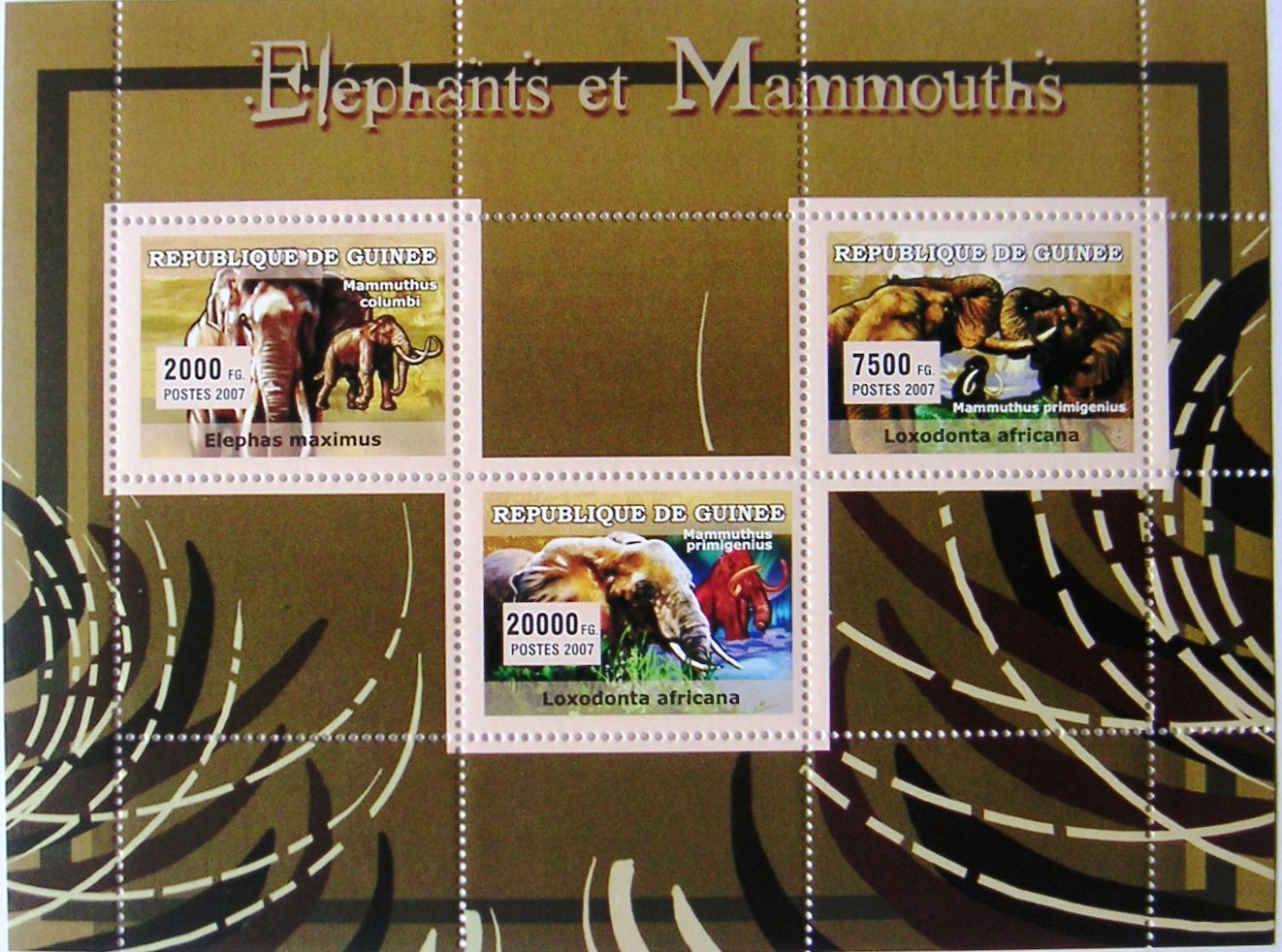 Timbres · Guinee
