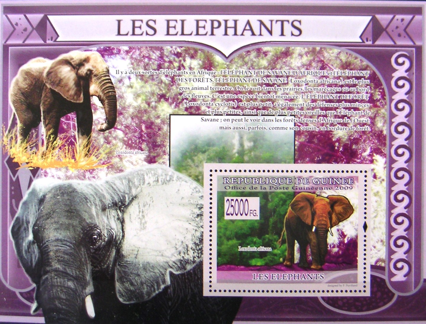 Timbres · Guinee