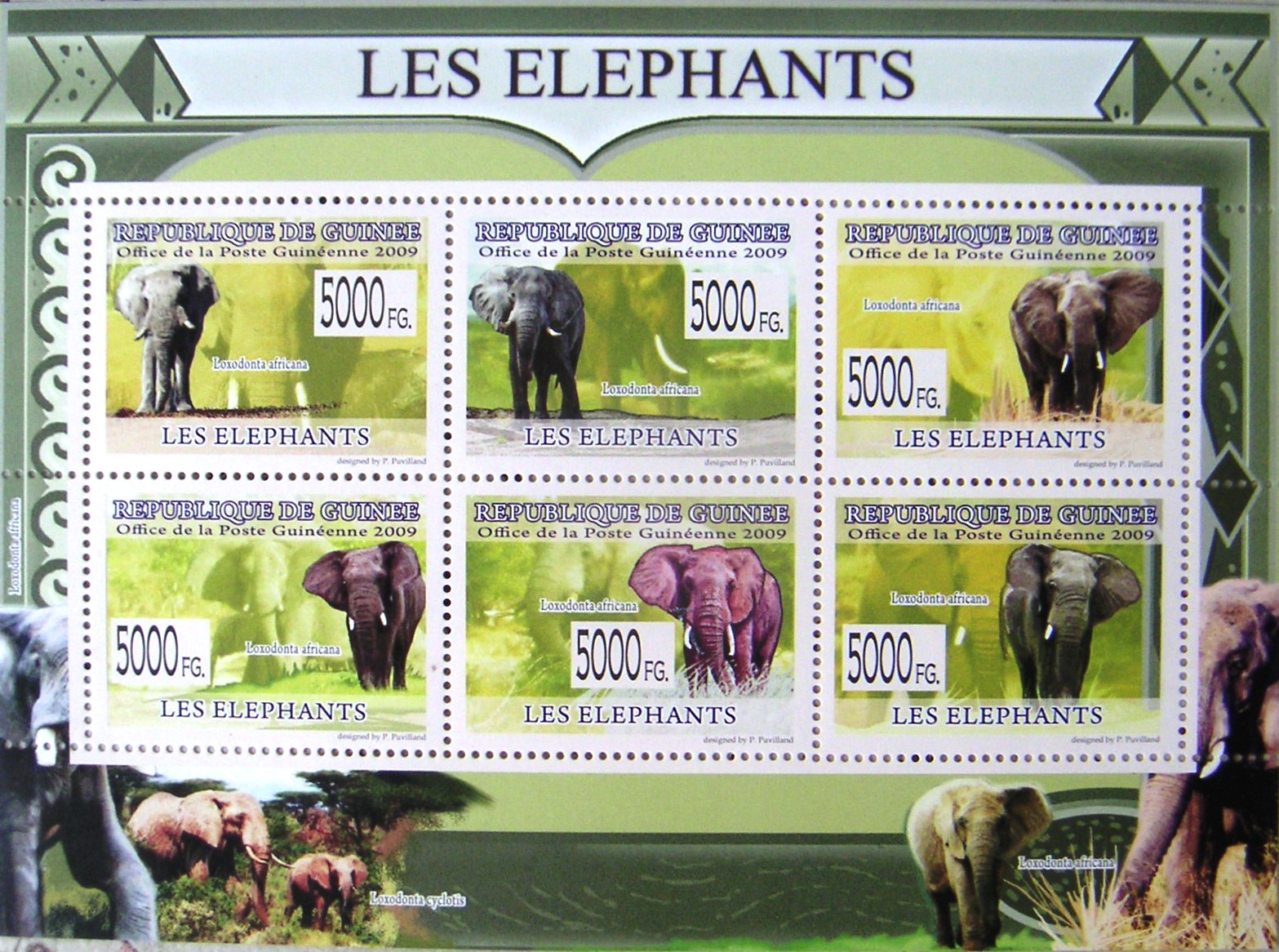 Timbres · Guinee