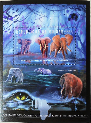 Timbres · Guinee