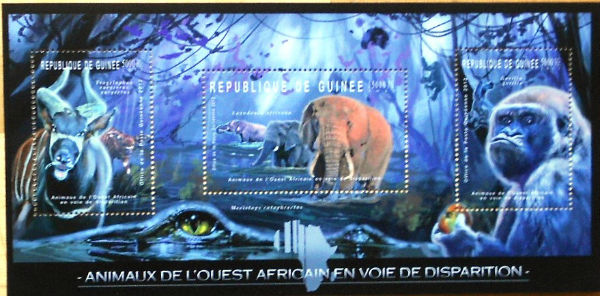 Timbres · Guinee