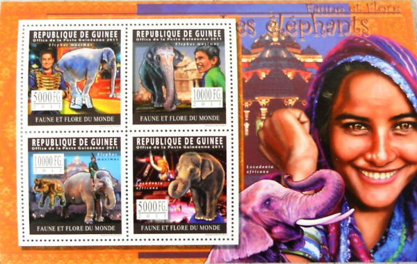 Timbres · Guinee