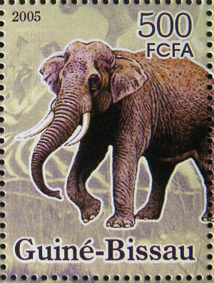 Timbres · Guniee Bissau