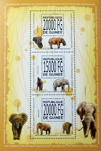 Timbres · Guinee