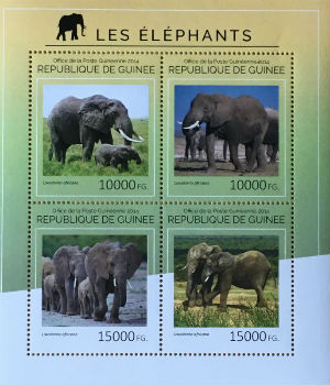 Timbres · Guinee