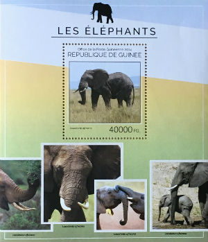 Timbres · Guinee