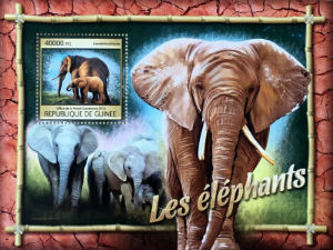 Timbres · Guinee