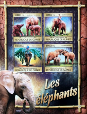 Timbres · Guinee