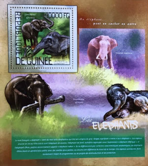 Timbres · Guinee