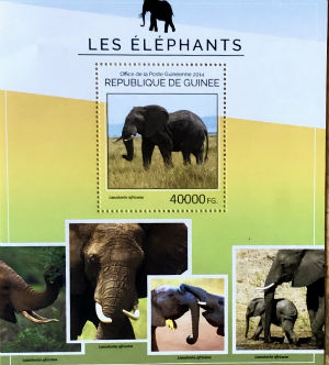 Timbres · Guinee