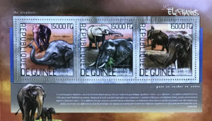 Timbres · Guinee