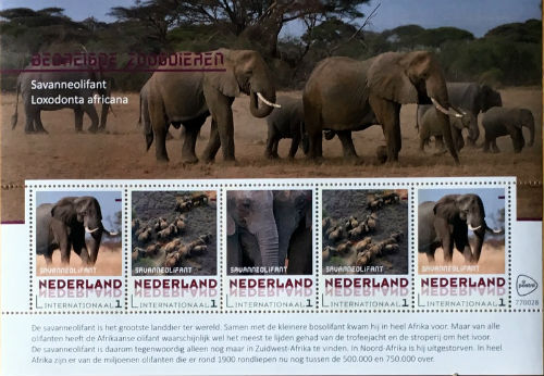 Timbres