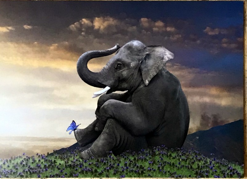Cartes · Cartes postales Humour