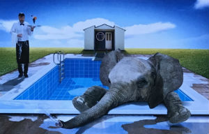 Cartes · Cartes postales Humour