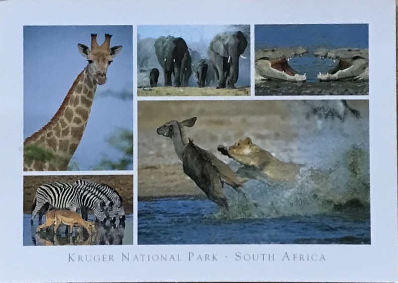 Cartes · Cartes postales Afrique