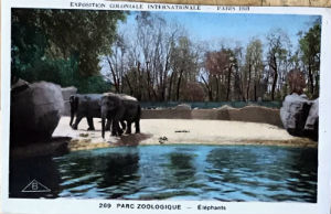 Cartes · Cartes postales Asie